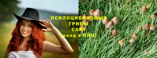 марки lsd Новодвинск