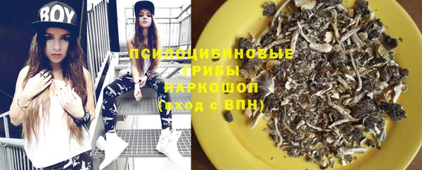 МДПВ Новозыбков