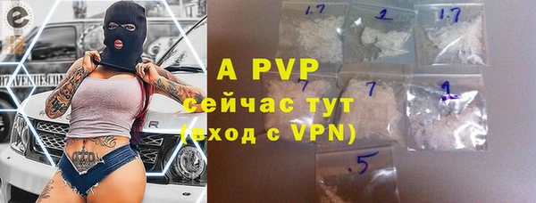 МДПВ Новозыбков