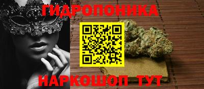 Альфа ПВП Гай