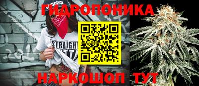 Альфа ПВП Гай