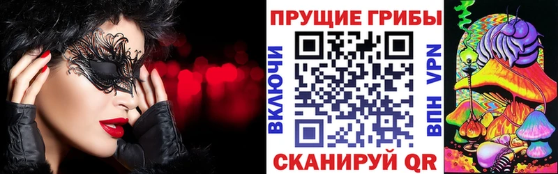Галлюциногенные грибы Psilocybine cubensis  что такое   Кизилюрт 