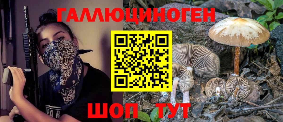 Псилоцибиновые грибы Magic Shrooms  Псилоцибиновые грибы мицелий  Кизилюрт  Вход с VPN 